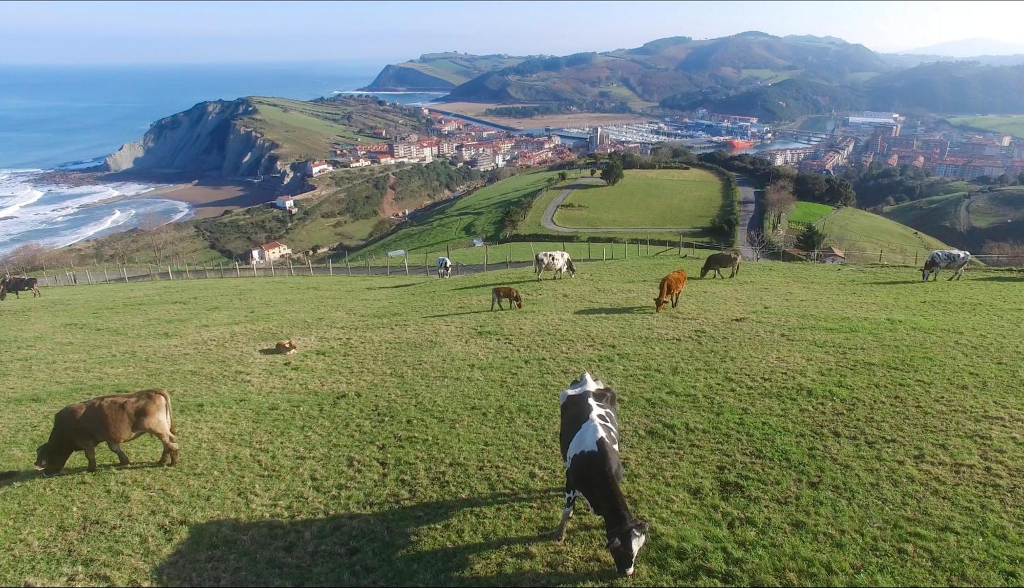 Apartamento San Jose - Ongi Etorri Zumaia Exterior foto